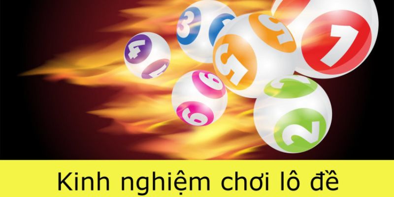 Thông tin cơ bản về Ko66 - Ko66
