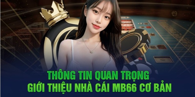 Các hoạt động quảng bá của Mm88 có những điểm hấp dẫn nào? - Mm88