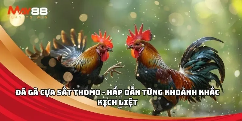 Các cấp độ phần thưởng và tiền thưởng trong trò chơi bắn cá cấp độ Vn777 - Vn777