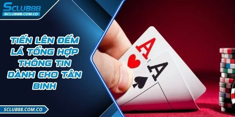Tận hưởng các đặc quyền VIP hạng C54 và khám phá thế giới xa hoa - C54