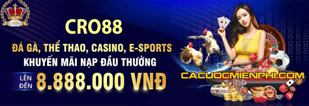 Jdb666 cung cấp các dịch vụ cá cược thể thao hấp dẫn và kịch tính - Jdb666