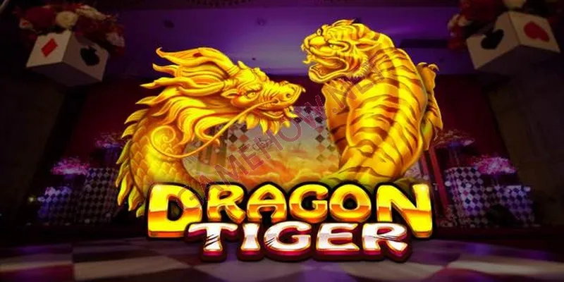 Dr88 và những câu hỏi chưa được giải đáp - Dr88