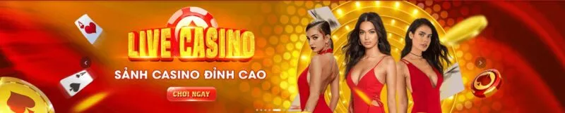 Vn6 cung cấp các đơn vị xử lý thông tin linh hoạt - Vn6