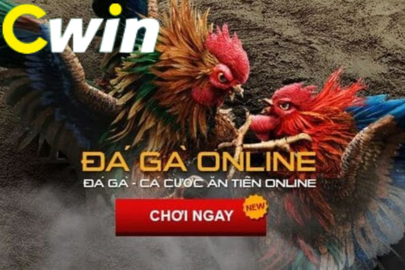 Thiên đường giải trí trực tuyến Sbotop - Sbotop