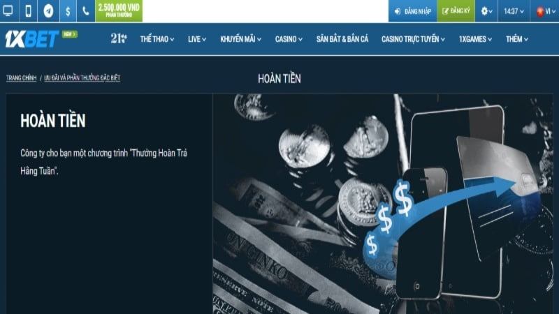 Hướng dẫn đăng ký tham gia cuộc thi đá gà cấp 789Win - 789Win