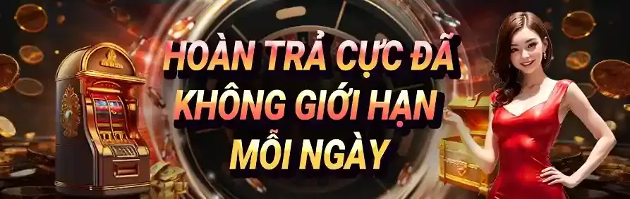 Một số thông tin hữu ích về Dd7 - Dd7