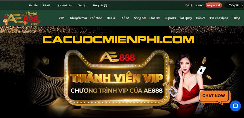 Các thành viên đăng tải nội dung đạt chuẩn Vt999 sẽ nhận được phần thưởng 88000 - Vt999