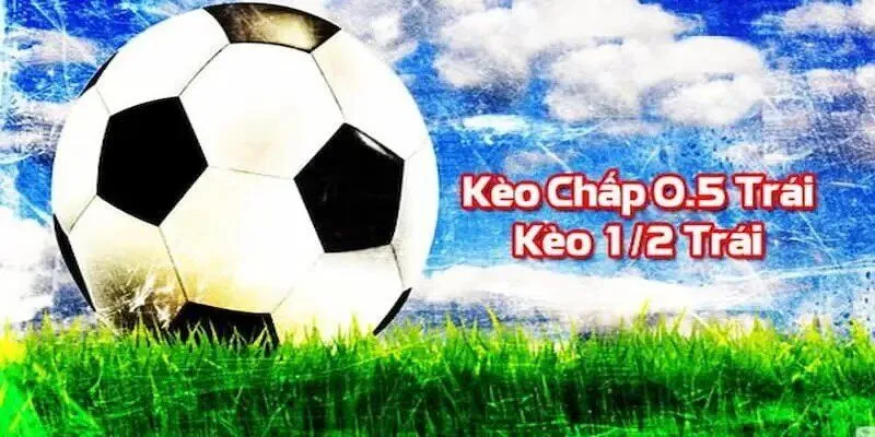Các bước đăng ký 97Win nhanh chóng trên điện thoại di động của bạn - 97Win