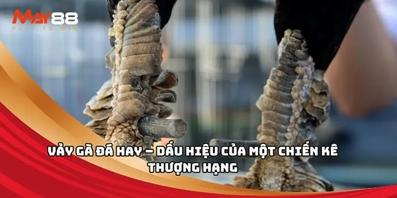 Tôi có thể đăng ký Hi888 Live bằng tài khoản Facebook của mình không? - Hi888