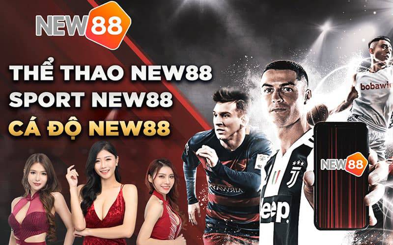 123B có đáng tin cậy không? 123B có phải là một trò lừa đảo không? - 123B