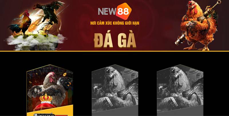 Dưới đây là các phương thức tham gia cá cược các sự kiện trực tiếp cấp độ K9win - K9win